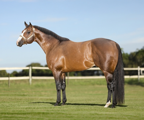 EURICO FOR ME JQM 
